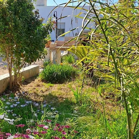 Punta Grossa - Porto Cesareo Tatil Evi Punta Prosciutto