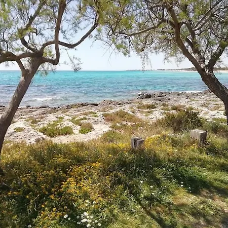 Tatil Evi Punta Grossa - Porto Cesareo *