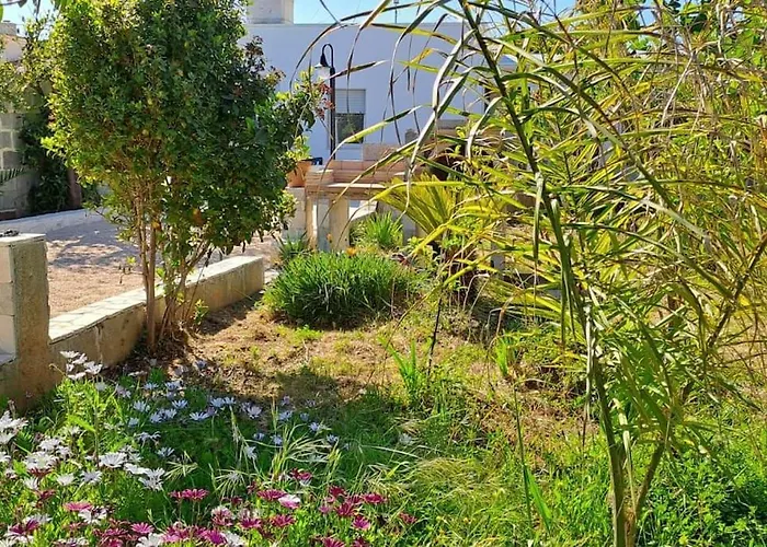 Punta Grossa - Porto Cesareo Casa vacanze Punta Prosciutto